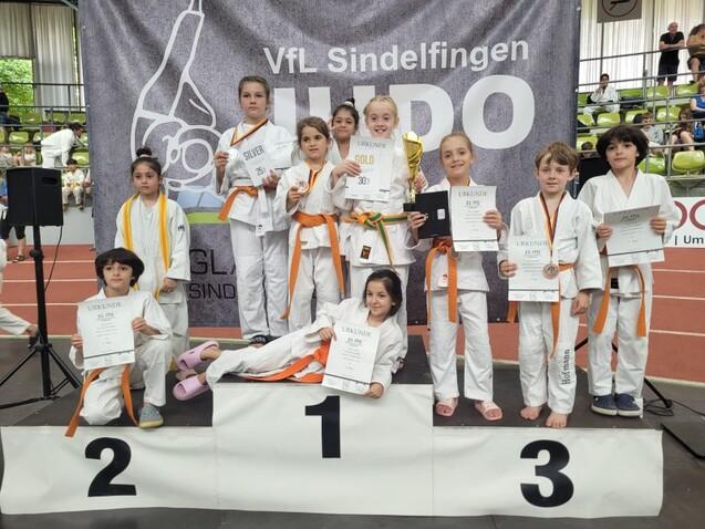Gruppe von Kindern in Judoanz&uuml;gen auf dem Siegertreppchen mit Medaillen und Urkunden vor einem Banner.