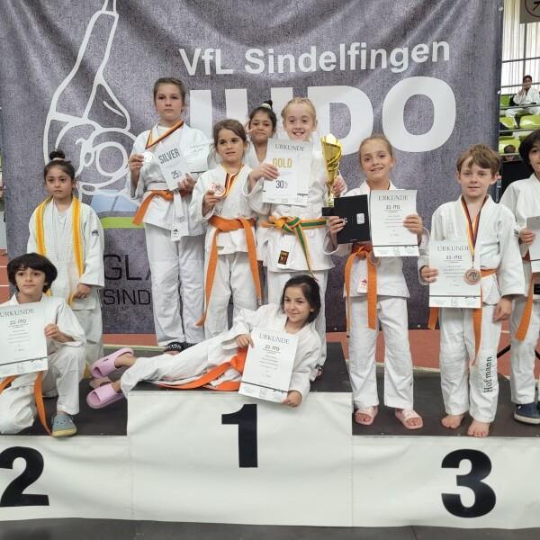 Gruppe von Kindern in Judoanz&uuml;gen auf dem Siegertreppchen mit Medaillen und Urkunden vor einem Banner.
