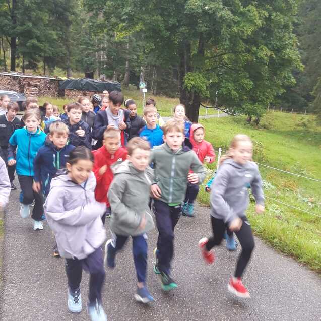 Eine Gruppe von Kindern in Sportkleidung l&auml;uft auf einem Weg durch eine waldreiche Umgebung.