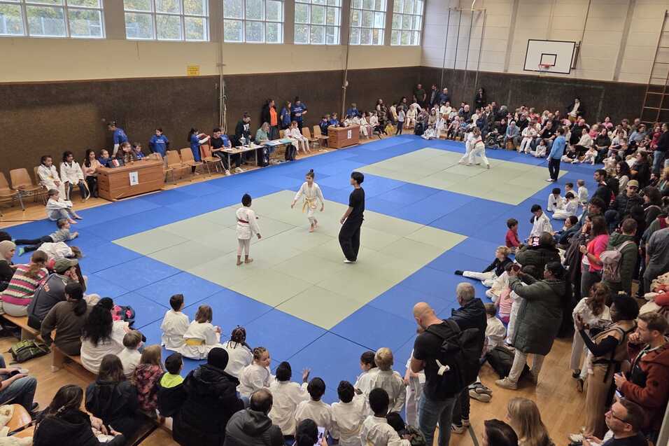 Sportliche Veranstaltung in einer Halle mit Zuschauern, K&auml;mpfern auf blauer Matte und Wettkampfleiter in schwarzer Kleidung.