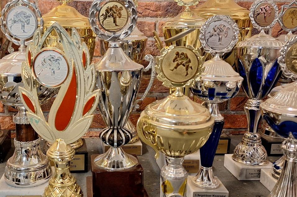 Bunte Pokale und Auszeichnungen stehen auf einem Tisch vor einer Backsteinwand.