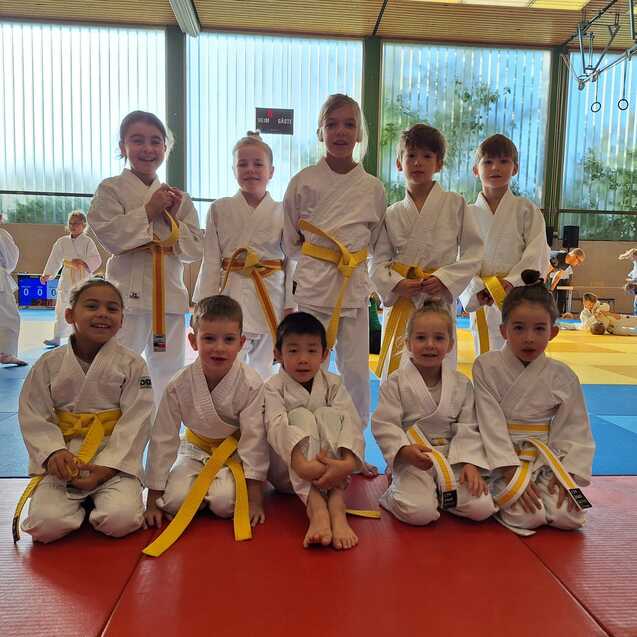 Gruppe von zehn Kindern in wei&szlig;en Karateanz&uuml;gen mit gelben G&uuml;rteln, stehend und sitzend auf einer Trainingsfl&auml;che.