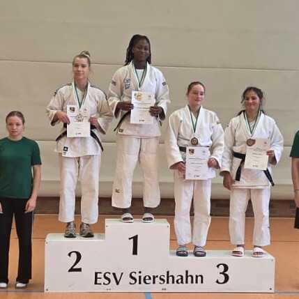 Sieben Sportler stehen auf dem Treppchen, wobei der erste Platz oben mit einer Medaille ausgezeichnet ist.