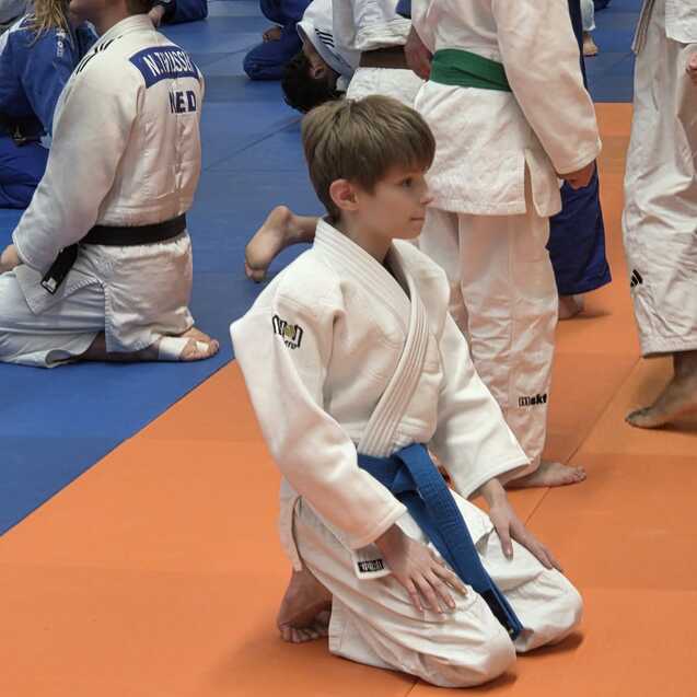 Ein Junge in einem wei&szlig;en Judoanzug mit blauem G&uuml;rtel kniet auf einer orangefarbenen Matte, umgeben von anderen Judokas.