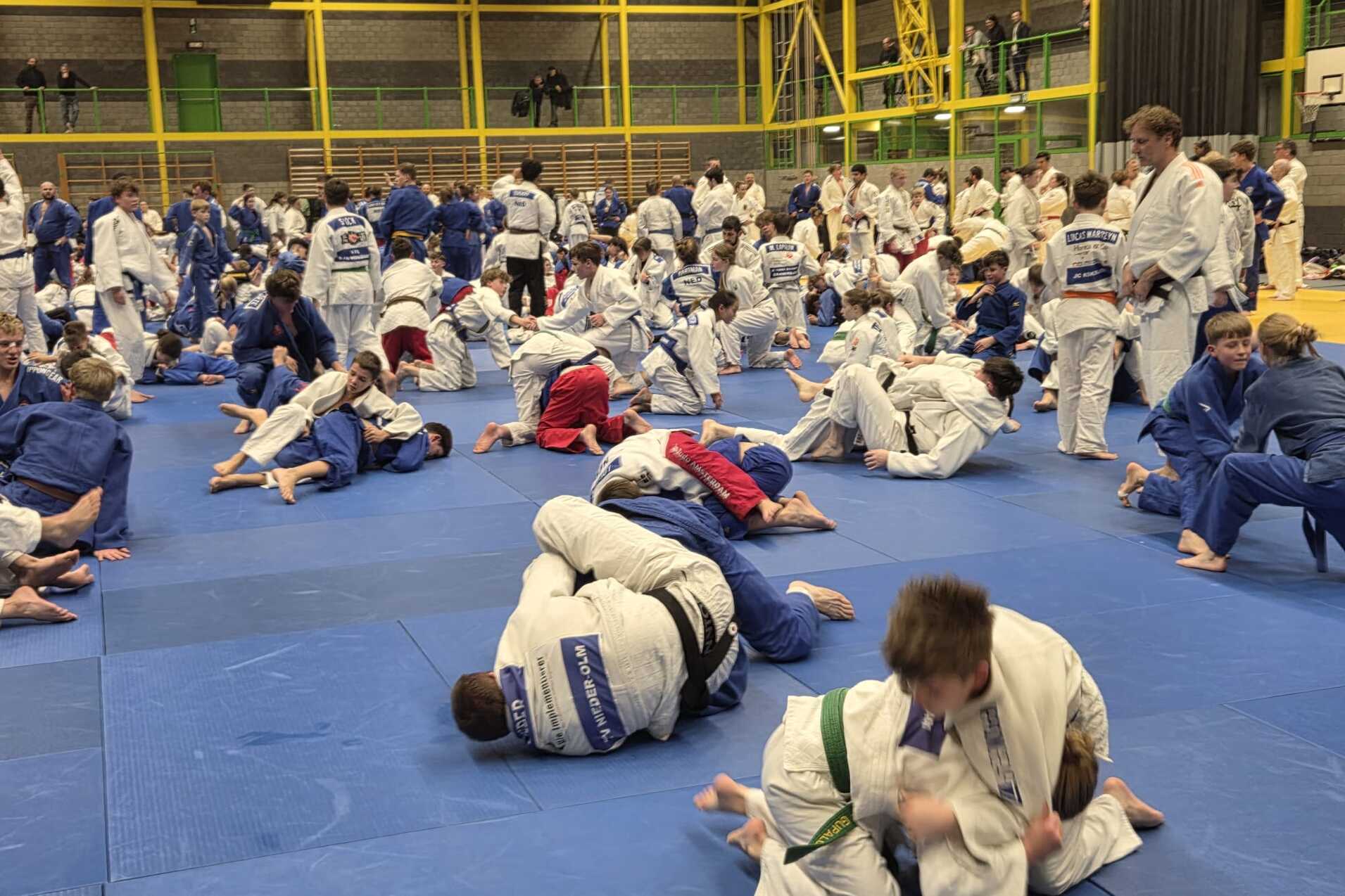 Judo-Training mit vielen Sportlern in Gis auf blauen Matten, die verschiedene Techniken üben.